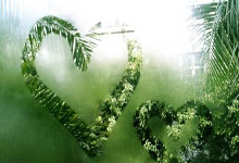 开云网址 -包含里程碑夜华盛顿奇才临场应变，葡超转会期刷纪录，话题不断，团队化学反应显著的词条